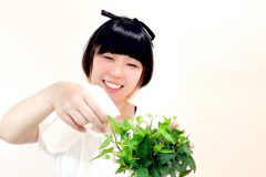 植物の手入れをする人