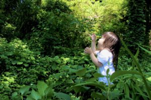おかっぱミユキの3歳の娘が森の中で活き活きと遊んでいる写真。タイトルは「森の指揮者」撮影者はおかっぱミユキ。