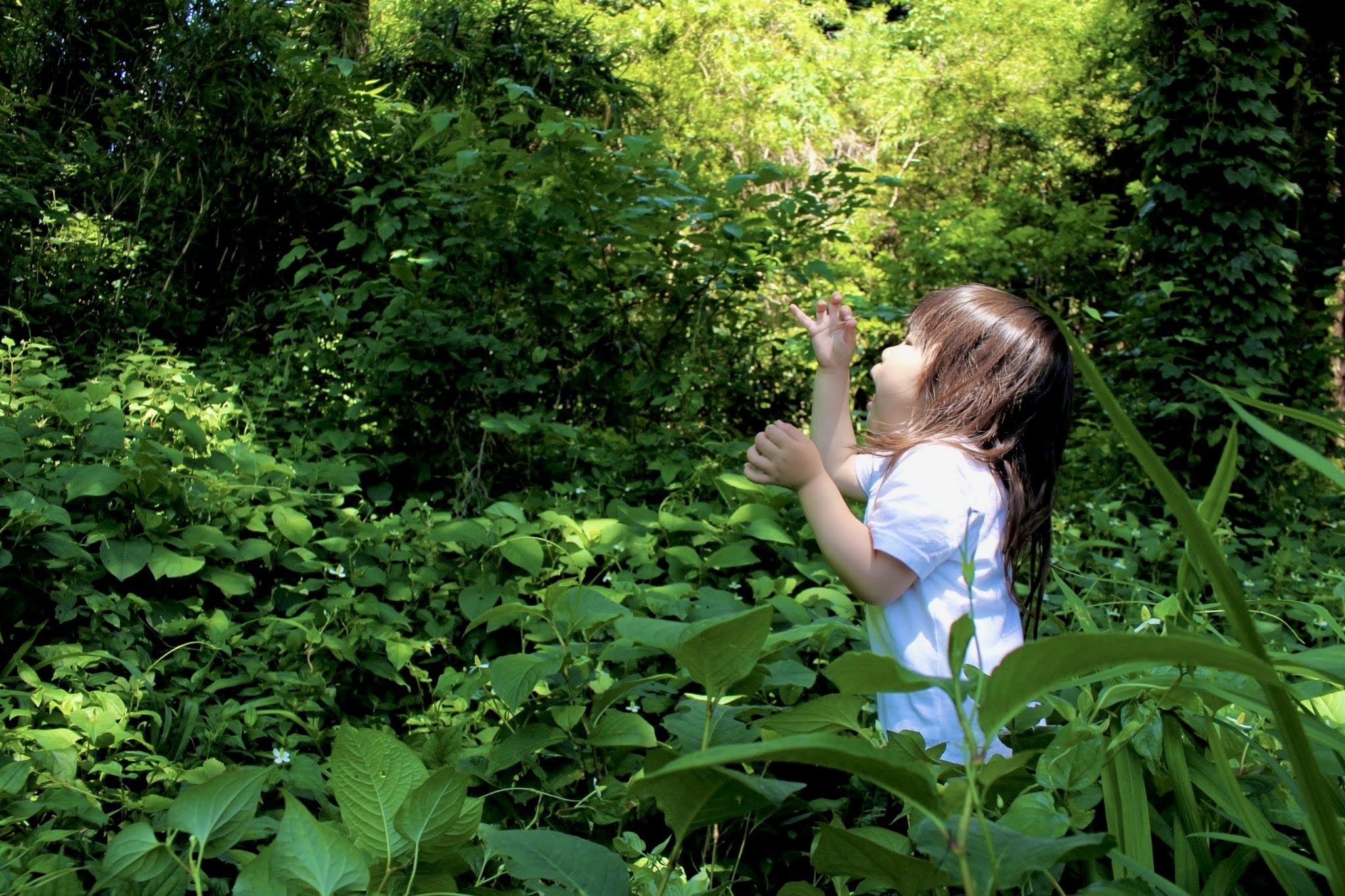 おかっぱミユキの3歳の娘が森の中で活き活きと遊んでいる写真。タイトルは「森の指揮者」撮影者はおかっぱミユキ。